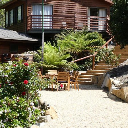 Osprey Lodge & Bungalow Eaglehawk Neck Εξωτερικό φωτογραφία