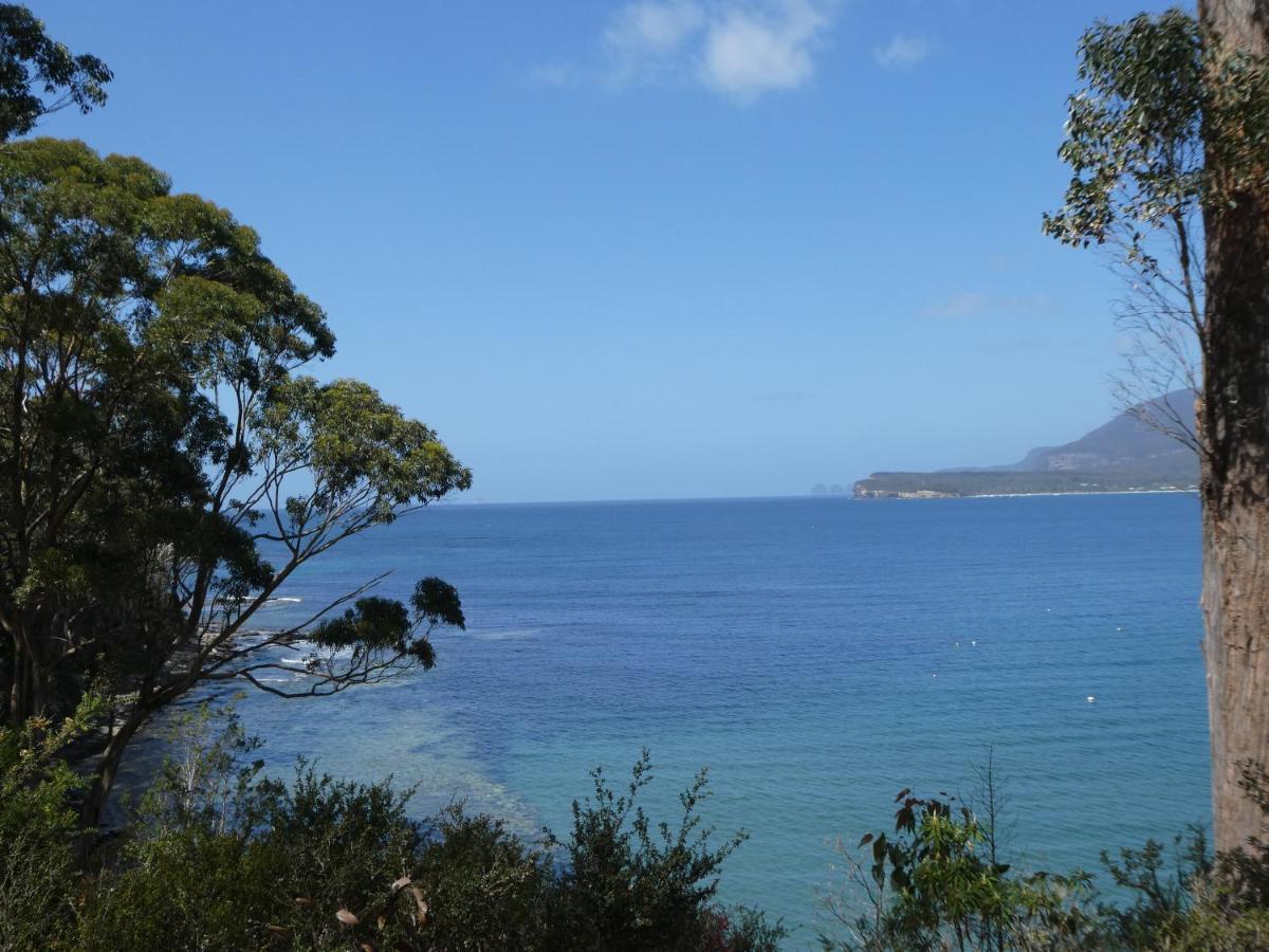 Osprey Lodge & Bungalow Eaglehawk Neck Εξωτερικό φωτογραφία