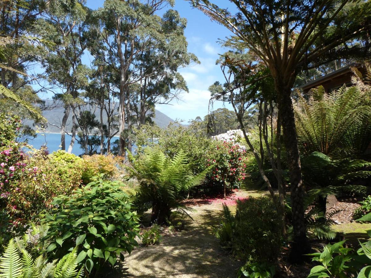 Osprey Lodge & Bungalow Eaglehawk Neck Εξωτερικό φωτογραφία