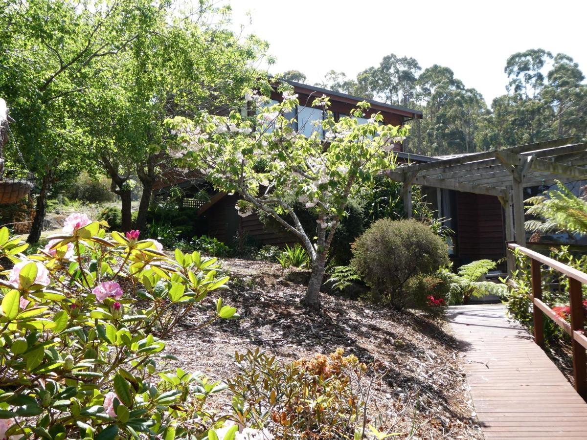 Osprey Lodge & Bungalow Eaglehawk Neck Εξωτερικό φωτογραφία